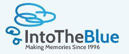 Into The Blue Coupon & Promo Codes