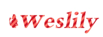 weslily Coupon & Promo Codes