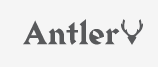 Antler UK Voucher & Promo Codes