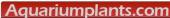 AquariumPlants.com Coupon & Promo Codes AquariumPlants.com Coupon & Promo Codes