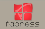 Fabness Coupon & Promo Codes
