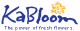 KaBloom Coupon & Promo Codes