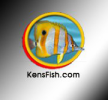 Ken's Fish Coupon & Promo Codes