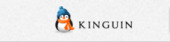 Kinguin Coupon & Promo Codes Kinguin Coupon & Promo Codes