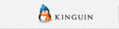 Kinguin Coupon & Promo Codes