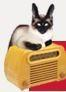 Old Time Radio Catalog Coupon & Promo Codes Old Time Radio Catalog Coupon & Promo Codes
