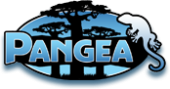 Pangea Coupon & Promo Codes
