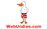 WebUndies Coupon & Promo Codes