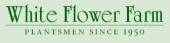 White Flower Farm Coupon & Promo Codes