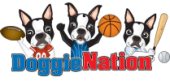 DoggieNation Coupon & Promo Codes