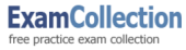 Exam Collection Coupon & Promo Codes