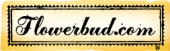 Flowerbud Coupon & Promo Codes Flowerbud Coupon & Promo Codes