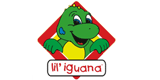 Lil' Iguana Coupon & Promo Codes